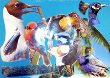 Tijo, trijo tru lu lu