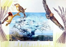 Tijo, trijo tru lu lu