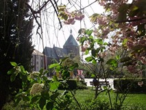 Zdjęcie Sylwii Skarbek - „Wiosenny Koszalin”
