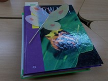 Tydzień Bibliotek