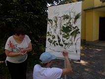 Tydzień Bibliotek „Ogrodowe zielarstwo”