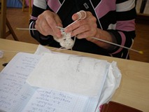 „ROBÓTKOWO”