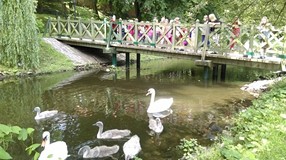 Wakacje w bibliotece