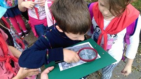 Wakacje w bibliotece