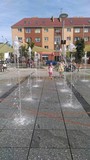 Koszalin Moje Miasto