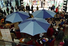 Maraton czytania wierszy Miłosza w galerii Handlowej w Koszalinie