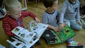 Biedronki w bibliotece