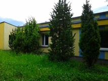 Krzewy rosnące przy budynku biblioteki