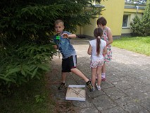 Dzieci oglądają drzewo iglaste