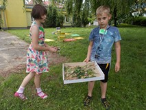 Dzieci pokazują jakie zebrały rośliny