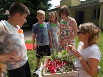 Podsumowanie zebranych okazów