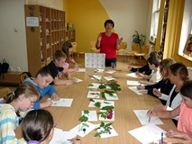 Warsztaty ekologiczne - na zasadzie kontrastu nazywamy wyłożone na stole pary roślin