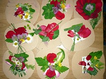 Warsztaty ekologiczne - oto efekt naszych ekologicznych zajęć plastycznych