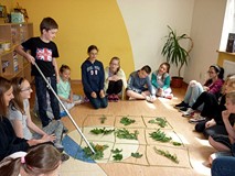 Warsztaty ekologiczne - wyznaczone dziecko wskazuje kolejne liście, grupa powtarza nazwy drzew