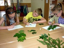 Warsztaty ekologiczne - bawimy się liśćmi dalej ; tym razem naszym zadaniem jest odwzorowanie wybran