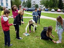 Warsztaty ekologiczne - wesoła zabawa drużynowa : kto pierwszy przeniesie na łyżeczkach jak najwięce