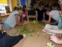 Warsztaty ekologiczne - rozpoznajemy rośliny