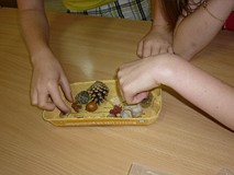 Warsztaty ekologiczne - nazywamy i porównujemy kolejne rekwizyty Z NATURY