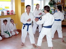 Pokaz karate tradycyjnego