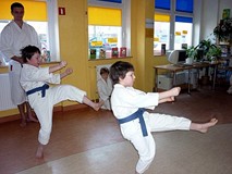 Pokaz karate tradycyjnego