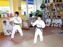 Pokaz karate tradycyjnego