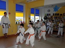 Pokaz karate tradycyjnego