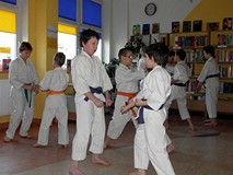 Pokaz karate tradycyjnego