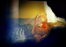 Fotografia otworkowa - zdjęcia jak z bajki