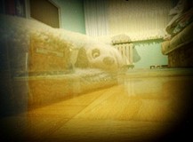 Fotografia otworkowa - zdjęcia jak z bajki