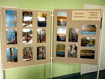 Tydzień Bibliotek rozpoczęty