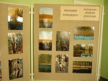 Tydzień Bibliotek rozpoczęty