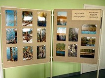 Tydzień Bibliotek 2011