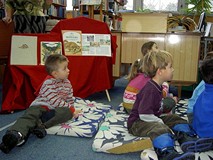 Zwierzęta minionych epok - dinozaury