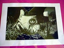 Wystawa fotografii